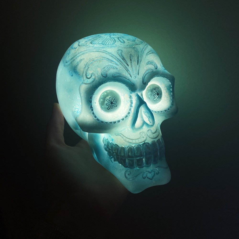 Vintage Sugar Skull Light